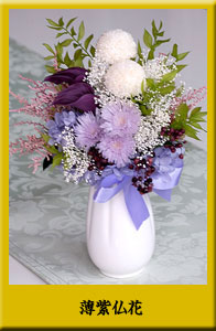 薄紫仏花